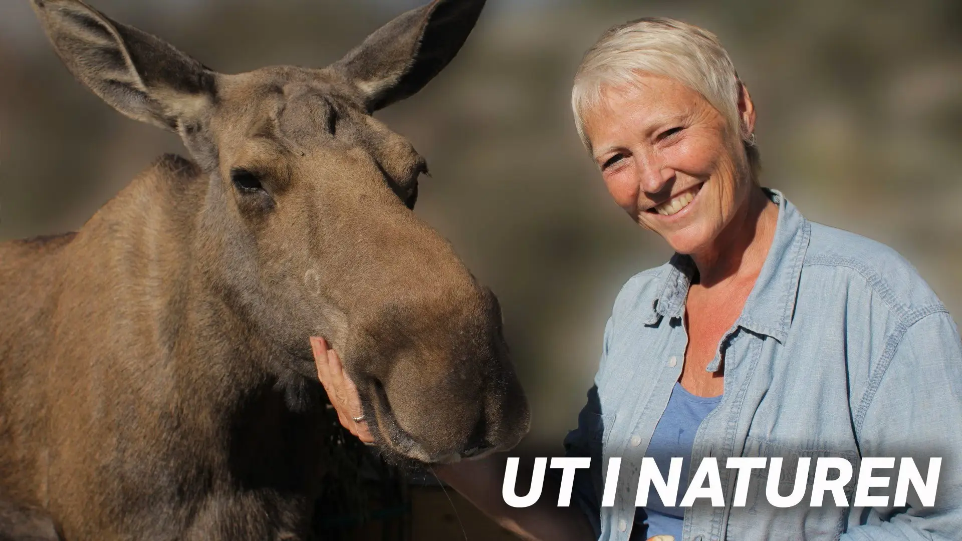 Ut i naturen backdrop