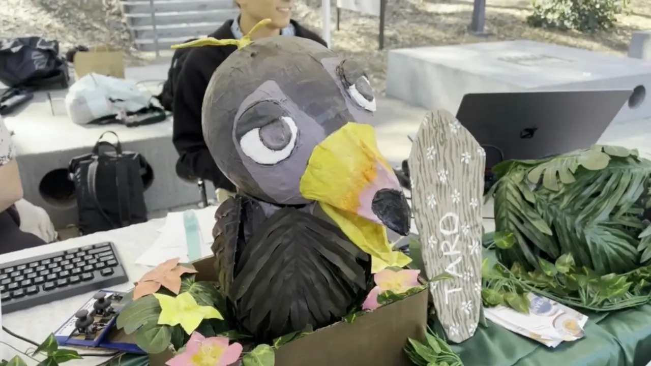 Making Taro Talk: A Documentary backdrop