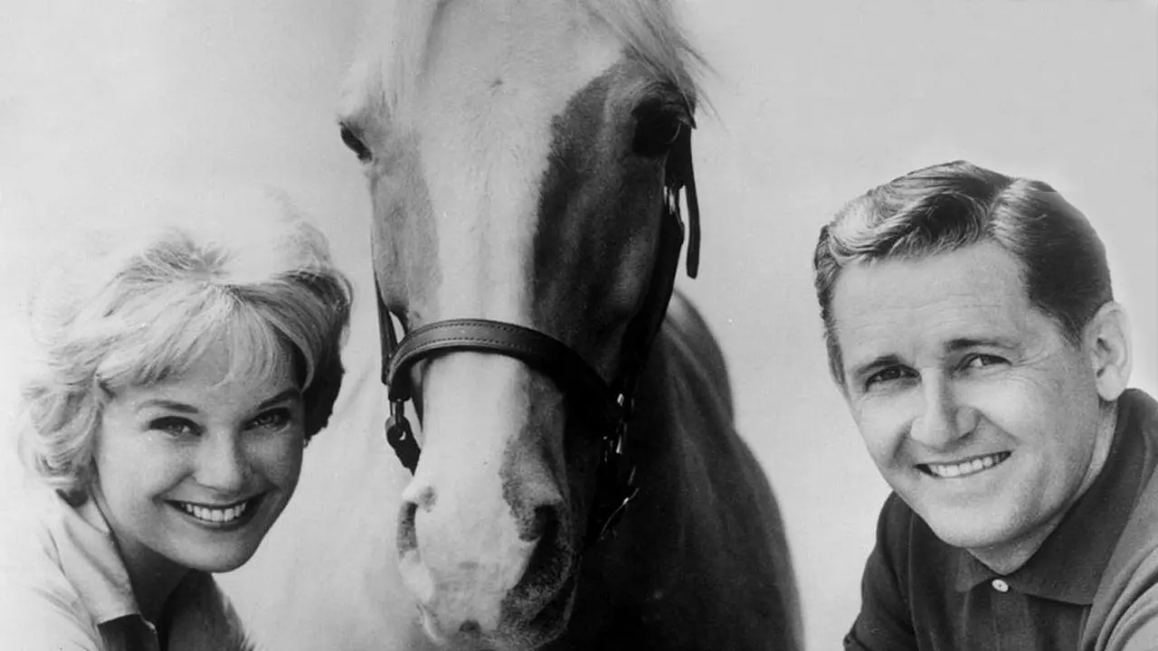 Mister Ed backdrop