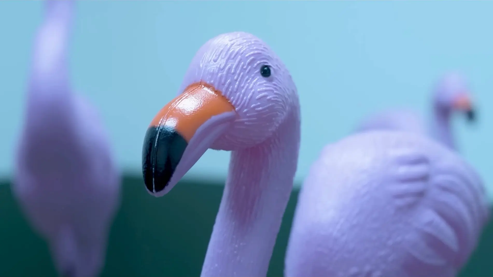 SCP: The Corpse backdrop