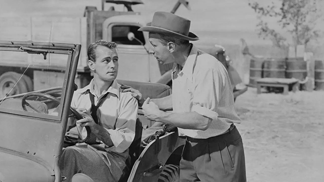 Wild Harvest backdrop