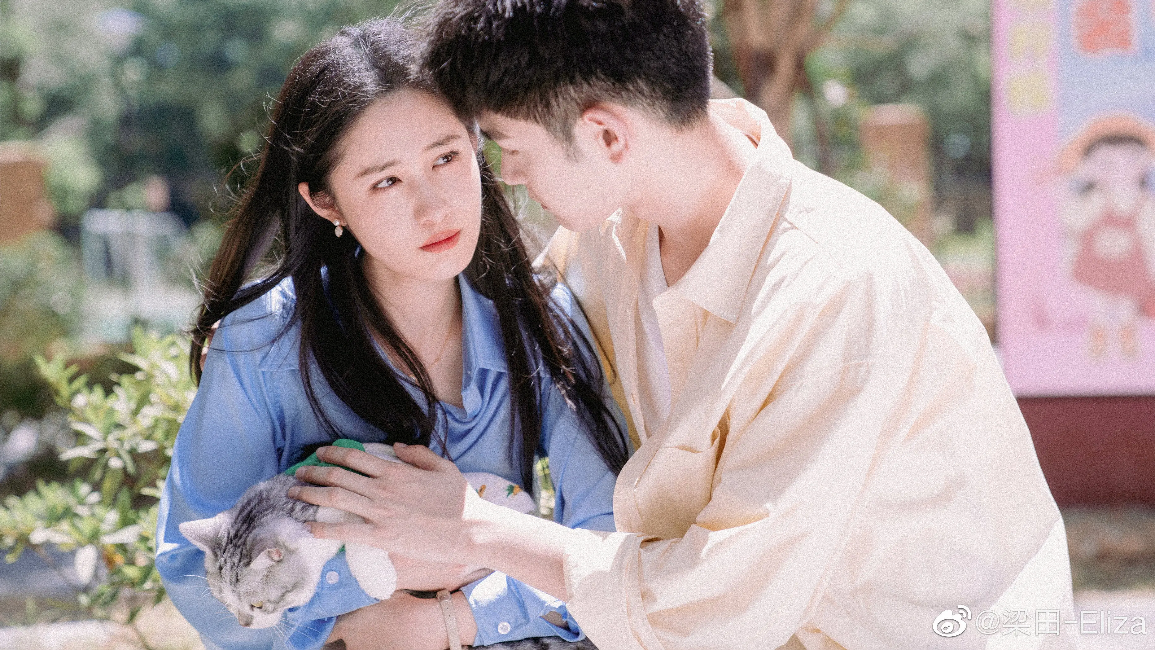 Fall in Love Again backdrop