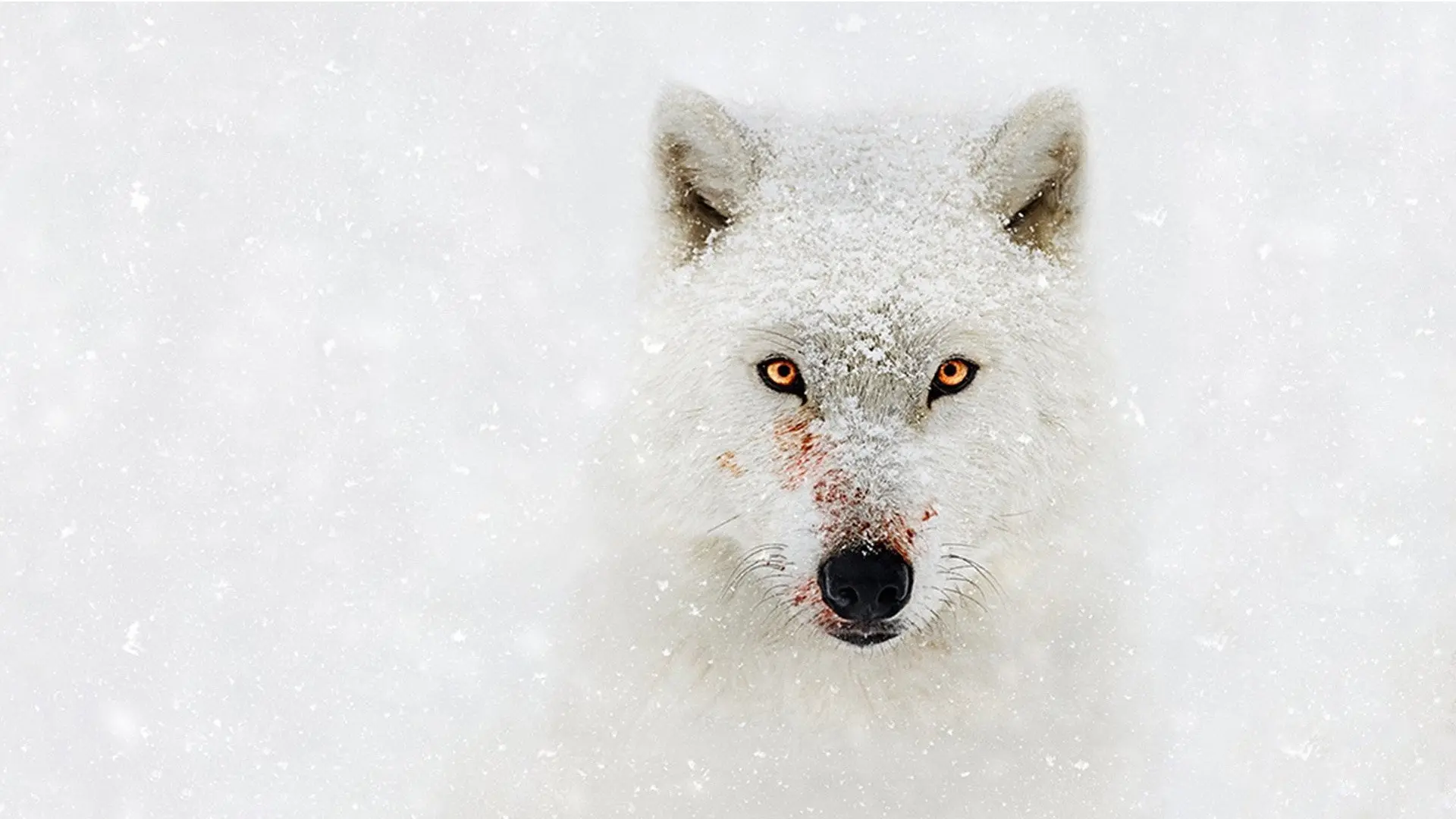 Hostile Planet backdrop