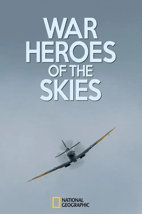 War Heroes of the Skies
